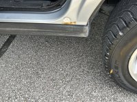 IMG_2978.jpeg