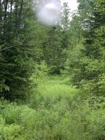 IMG_0803.jpeg